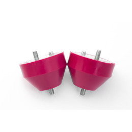 BMW e36 compact Supporti motore