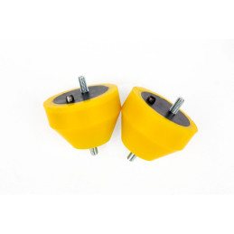 BMW e36 compact Supporti motore